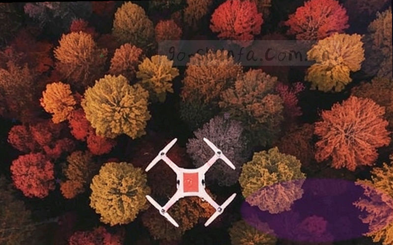 抽象风格团队协作画面，多双风格各异的手围绕一枚发光星形图标，象征多元背景下的共同信念